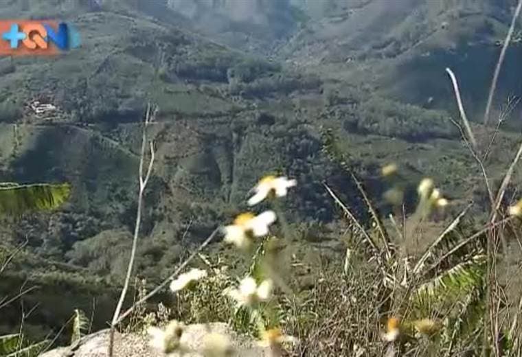 León Cortés es un cantón josefino conocido por la alta producción del grano de oro, decenas de familias viven del café, y nosotros fuimos a compartir con una de ellas.