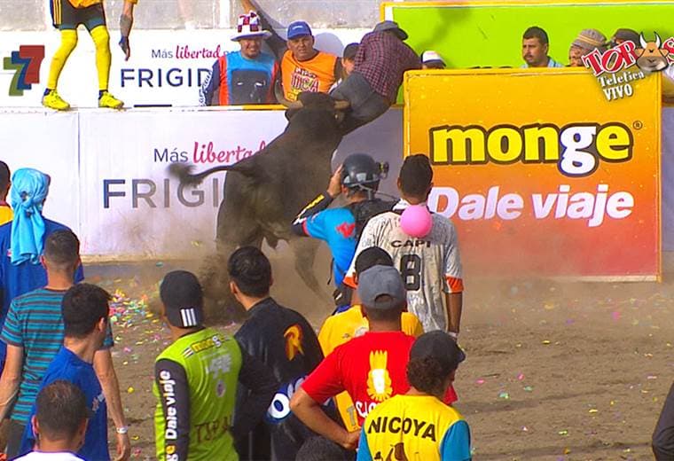 Corneada fuerte de toro en el redondel de Zapote