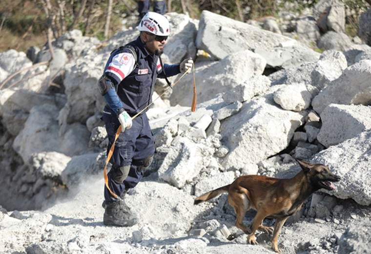 Perros de Rescate de Cruz Roja logran certificación para atender emergencias internacionales