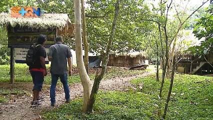 Hablar de Talamanca es hablar de sus zonas indígenas, hay muchas, de hecho la totalidad de uno de sus cuatro distritos están habitados por indígenas. Para conocer más de ellos, nos fuimos a sus orígenes, con el médico indígena, con sus platillos locales y su forma de comercializar lo que más producen: banano orgánico. No se pierda este reportaje en el siguiente enlace: