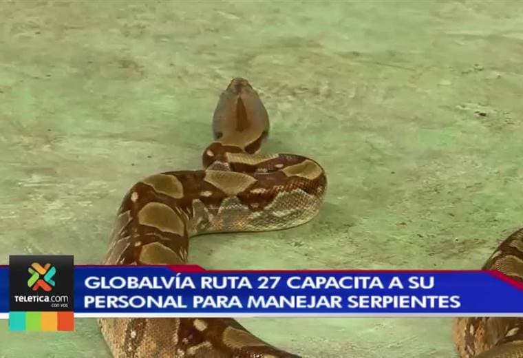 Globalvía ruta 27 capacita a su personal para manejar serpientes