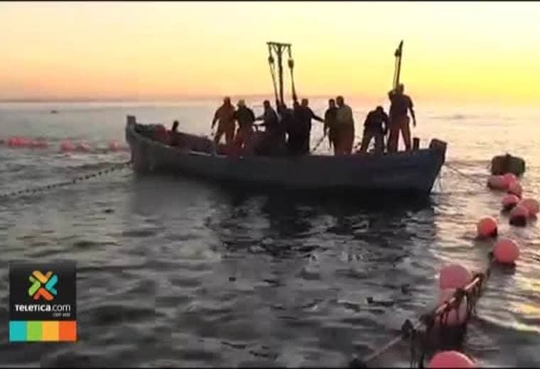 Nueva iniciativa pretende frenar el robo de atunes por parte de embarcaciones internacionales