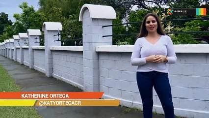 Siga estos consejos y aprenda a diseñar sus cejas correctamente