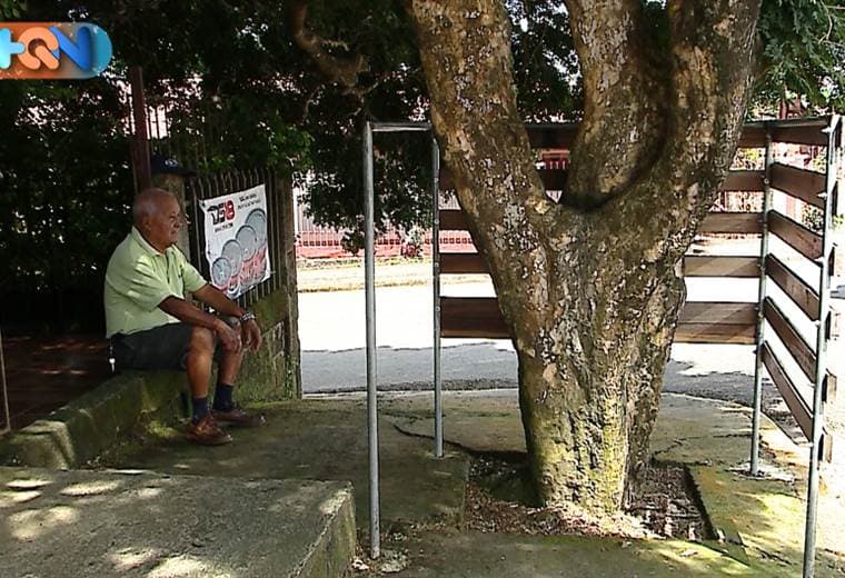 Don Leonardo vecino del Cantón de la Cruz se convirtió en el hijo predilecto del cantón al salvar uno de los árboles de la comunidad que estaba en peligro de extinción. Gracias a esta iniciativa los cruceños hoy gozan y disfrutan de la sombra de este árbol que fue declarado "el árbol cantonal". Fue así como don Leo se convirtió en el padre de cientos de guayacanes que hoy viajan por todo el pais, con motivo de su conservación. A continuación su historia.