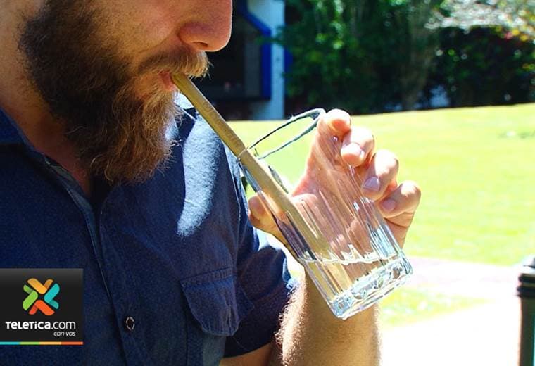 Empresa nacional apuesta por pajillas de bambú para reducir la contaminación