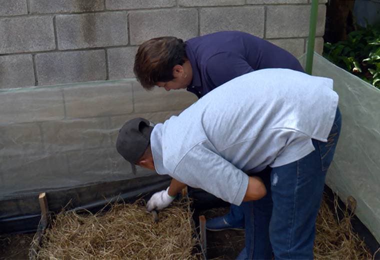 Buen Día realizó la entrega oficial de la huerta a su ganadora