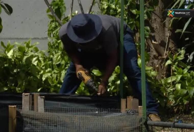 Buen Día realizó la entrega oficial de la huerta a su ganadora