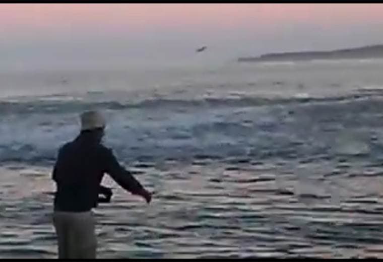 Peces saltaron a la playa en Nosara y sorprendieron a los presentes