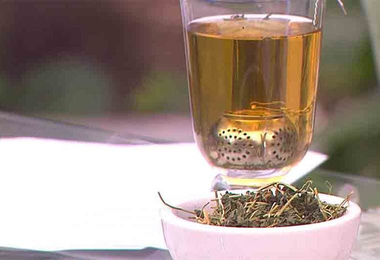 Beneficios del té de sorosí y el té de kombucha