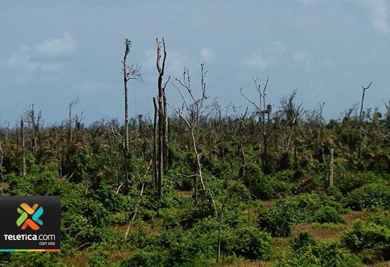 Isla Calero sigue sufriendo un serio daño ambiental
