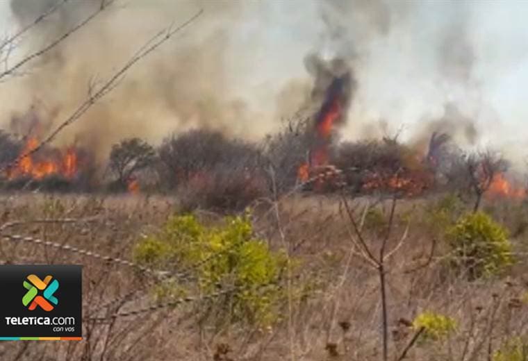 Sistema de Áreas de Conservación no baja la guardia ante los incendios forestarles