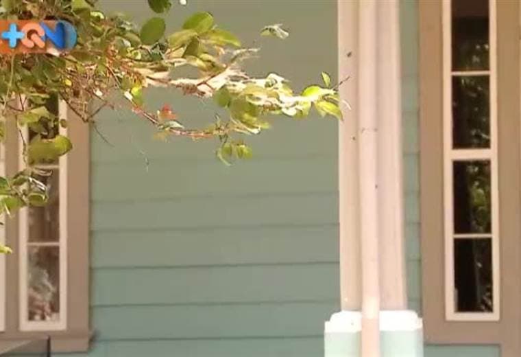 Dentro del Hospital San Vicente de Paul en Heredia existe un grupo de mujeres que salvan vidas. Se trata de la fundación Mujeres en Rosa, quienes son sobrevivientes de cáncer de mama. Hoy ellas ayudan a otras mujeres a pasar por este duro proceso.