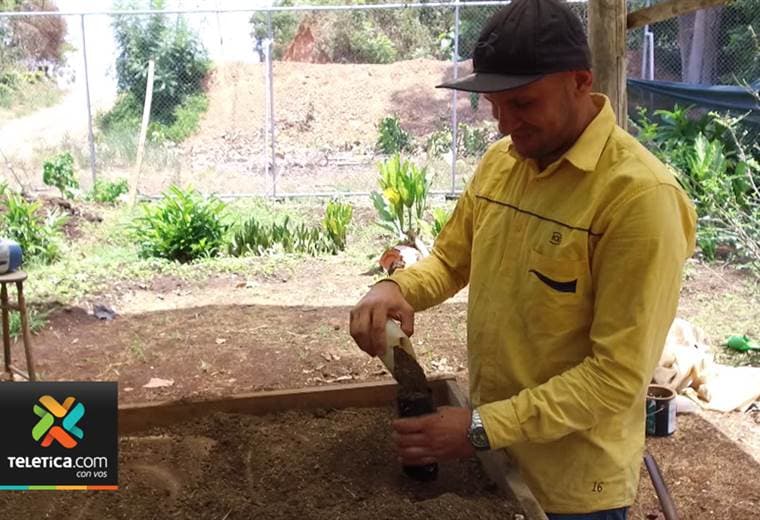 ICE produce un millón de árboles al año para reforestar el país