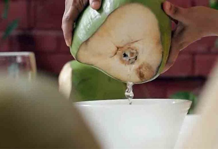 ¿Cuáles son los beneficios del coco en cada una de sus presentaciones?