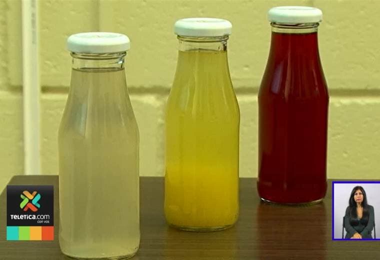 Investigadores de UCR desarrollaron una bebida saludable a base de agua de pipa