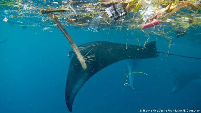 La Unió Europea presentó una lista de productos plásticos que quiere prohibir