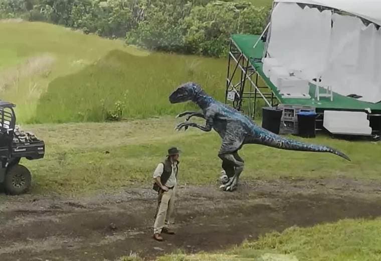 Cada franquicia necesita reinventarse para mantenerse fresca, esto incluye la incorporación de nuevos personajes y no es la excepción para con Jurassic World, Fallen Kingdom. Conversamos con los jóvenes protagonistas encargados de darle frescura a la trama.