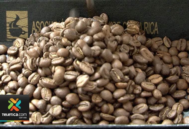 El mejor café de Costa Rica le sigue dando la vuelta al mundo