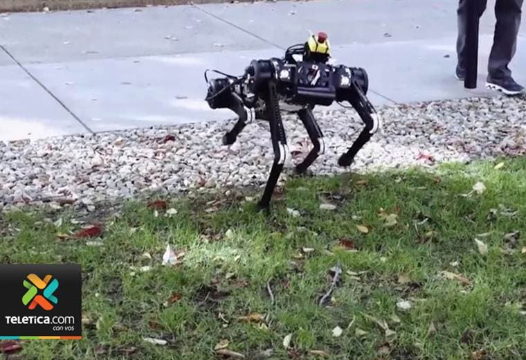 Robots que imitan el movimiento de animales continúan sorprendiendo