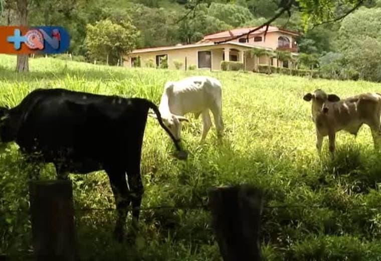 Hojancha es un hermoso cantón de Guanacaste donde a lo largo de la semana recorreremos sus historias, personajes, curiosidades, sitios turísticos y lo más propio del lugar. Atrévase a conocerlo con nosotros, es un cantón que tiene playa y montaña, además de su gente, quién nos recibió con los brazos abiertos.