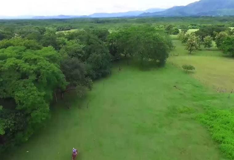 Estudio revela los secretos de 43 guanacastecos que tienen más de 100 años