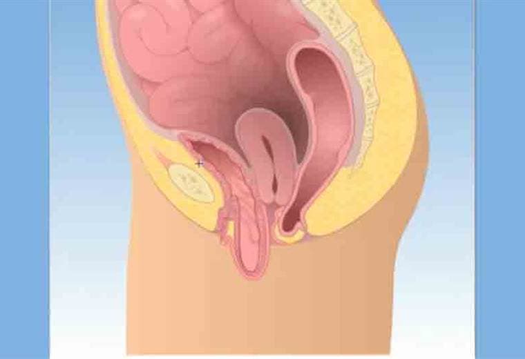 ¿Por qué se produce la vejiga baja?