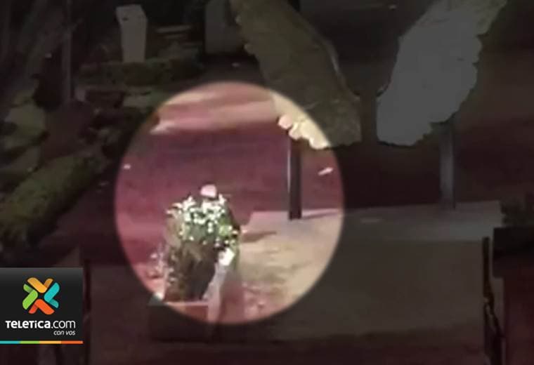Gracias a los “ojos electrónicos” policía evitó robo de reflector que ilumina escultura "Alas México"