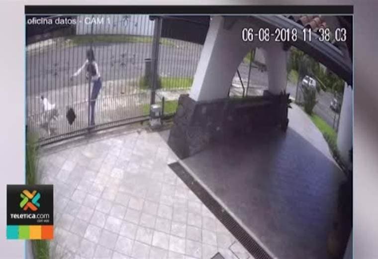 Cámaras grabaron ataque de un perro a joven que caminaba por una calle en Curridabat