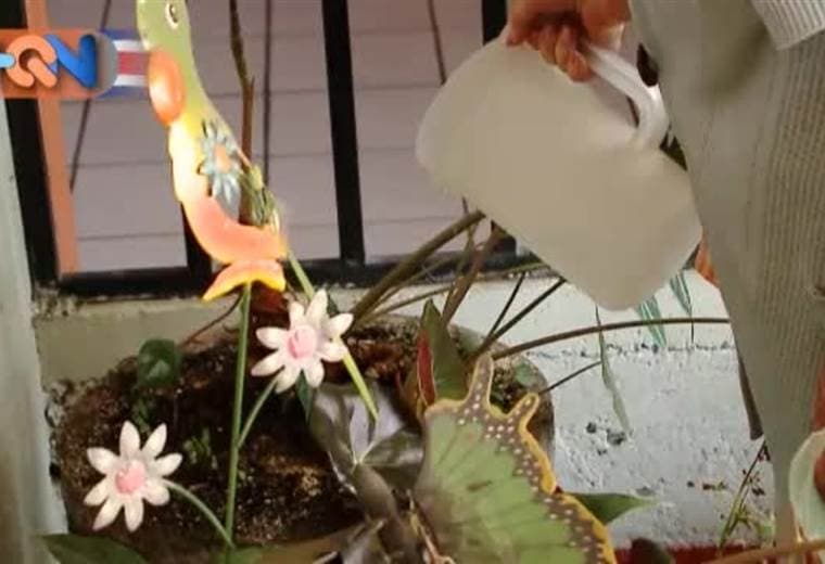 Doña Benjamina es el ejemplo de amor a su familia y a lo que ella hace. Resulta que llegó a los 100 años en el corazón de Alajuela y a pesar de su edad la encontramos limpiando y regando su jardín, cosiendo, cocinando y haciendo poemas. Ella es el verdadero ejemplo de que se puede llegar a tantos años feliz, alentada, con salud y rodeada de familiares quienes la chinean. Conozca más de doña Benjamina en la siguiente nota: