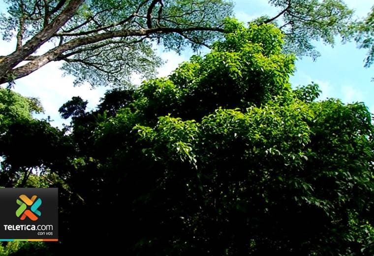 Costa Rica y EE.UU. buscan proyectos para destinar fondos a conservación de bosques