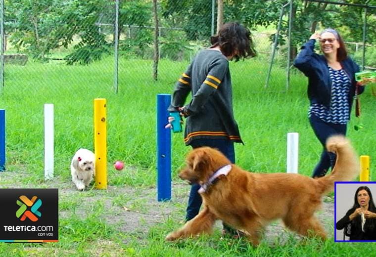Vecinos de Mata Redonda ya tienen un parque para perros