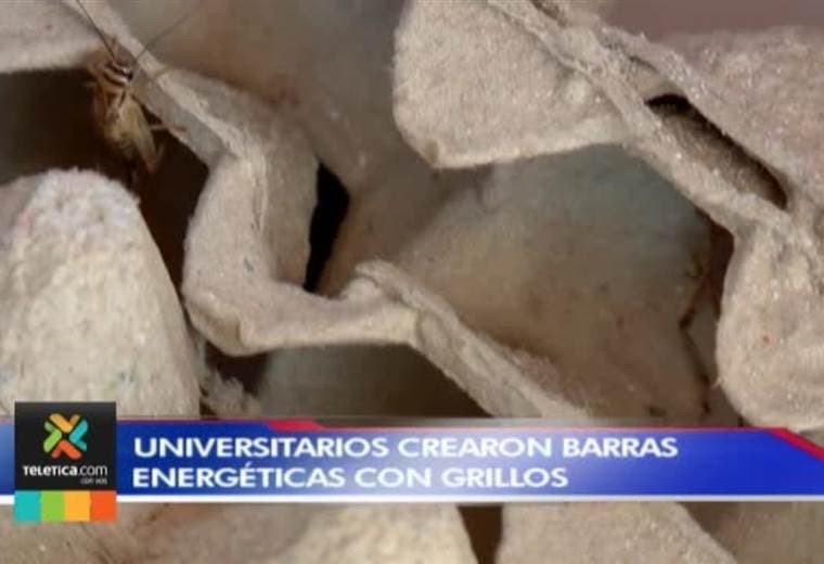 Universitarios crearon barras energéticas a partir de polvo de grillos