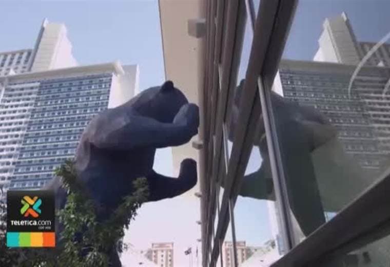 Conmebol analiza realizar un certamen con representaciones de América del Sur y Concacaf en el 2020