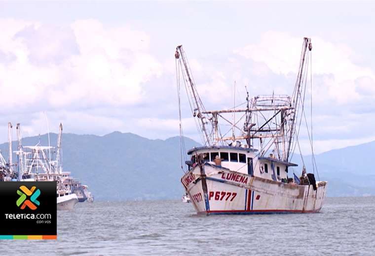 Comisión de Agropecuarios da luz verde al proyecto que revive pesca de camarón