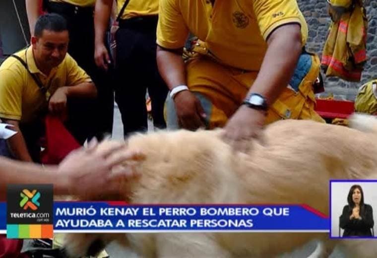 Fallece Kenay, el perro bombero que ayudó en importantes labores de rescate por 7 años