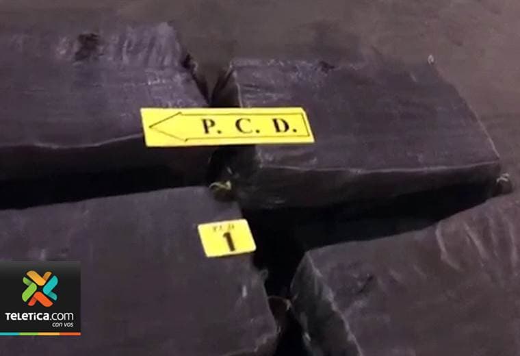 PCD decomisó 202 kilos de cocaína en contenedor de banano en Caldera
