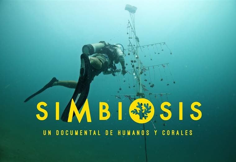 Trailer Simbiosis