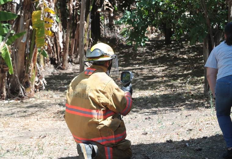 Bomberos realizaron operativo para atrapar a un puma en Tibás