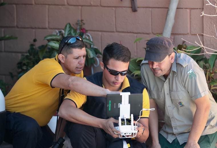 Bomberos realizaron operativo para atrapar a un puma en Tibás