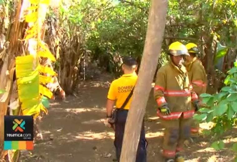 Bomberos capturan puma en Tibás