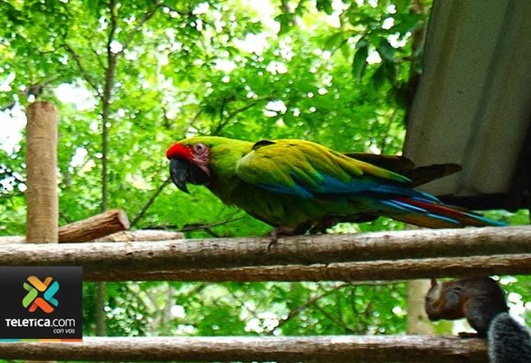 Zoológico y jardín botánico Simón Bolívar obtuvo una certificación internacional de bienestar animal