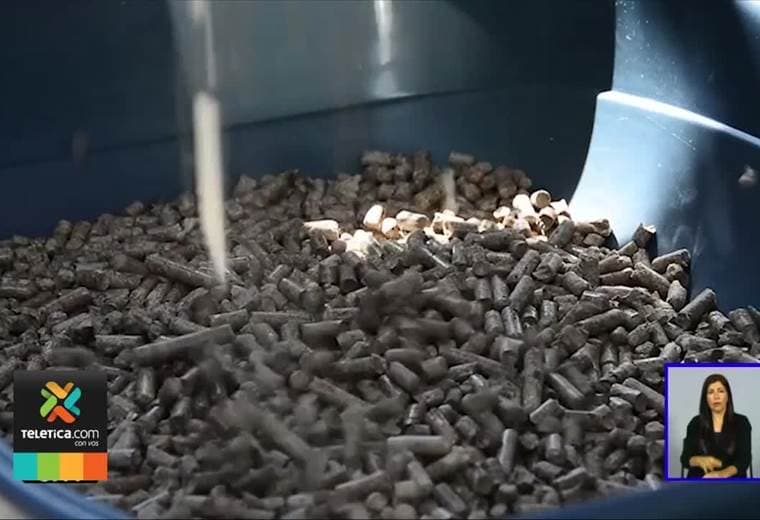 Empresa costarricense creó una arena para gato que puede reutilizarse como abono