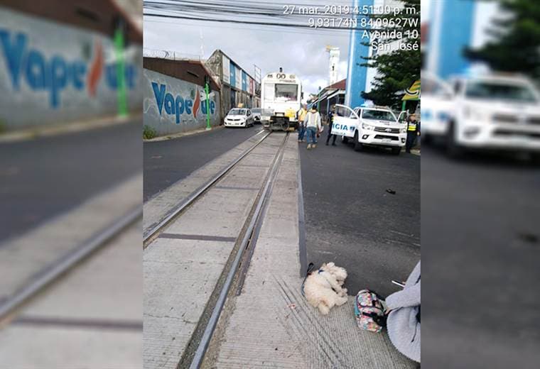Una mujer está grave y su perro murió tras ser atropellados por el tren en Sabana