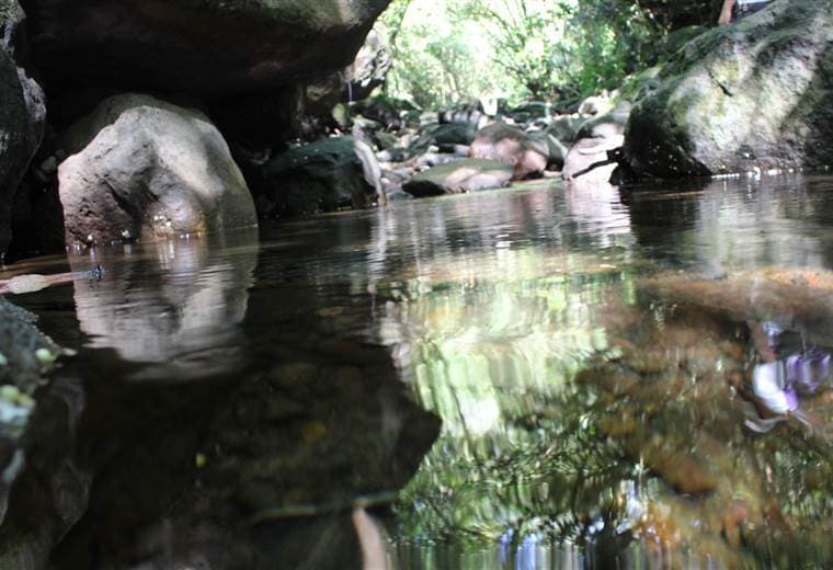 Fuentes de agua |ESPH.