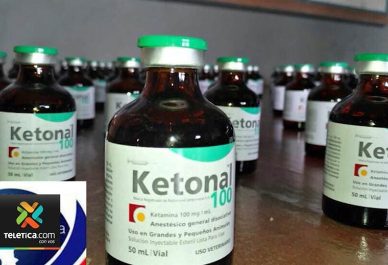 Decomiso de ketamina en frontera norte deja al descubierto como este fármaco gana terreno en el país