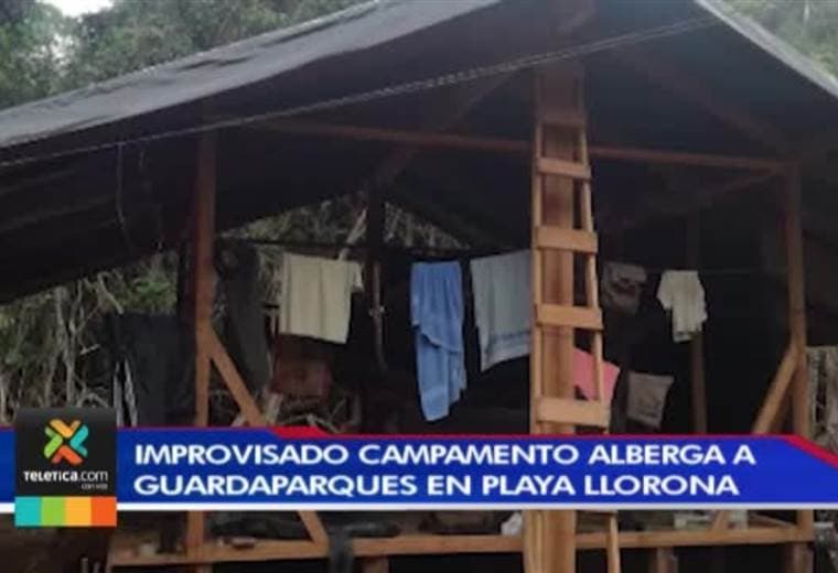 Improvisado campamento en Playa Llorona funciona como base de operaciones para los guardaparques