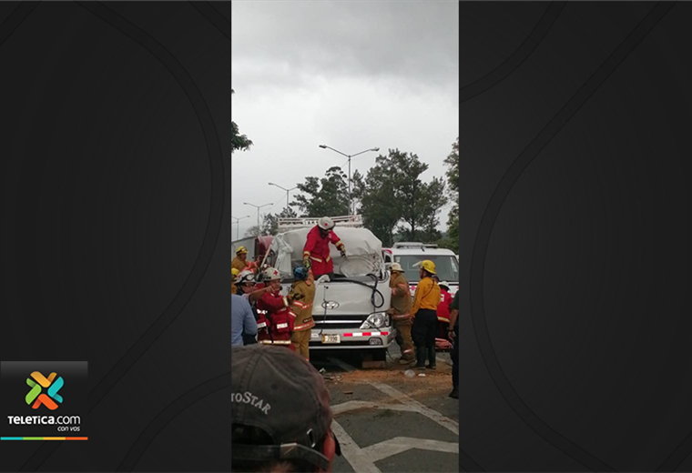 Al menos dos heridos tras caerle un árbol a un microbús con 25 personas en Cartago