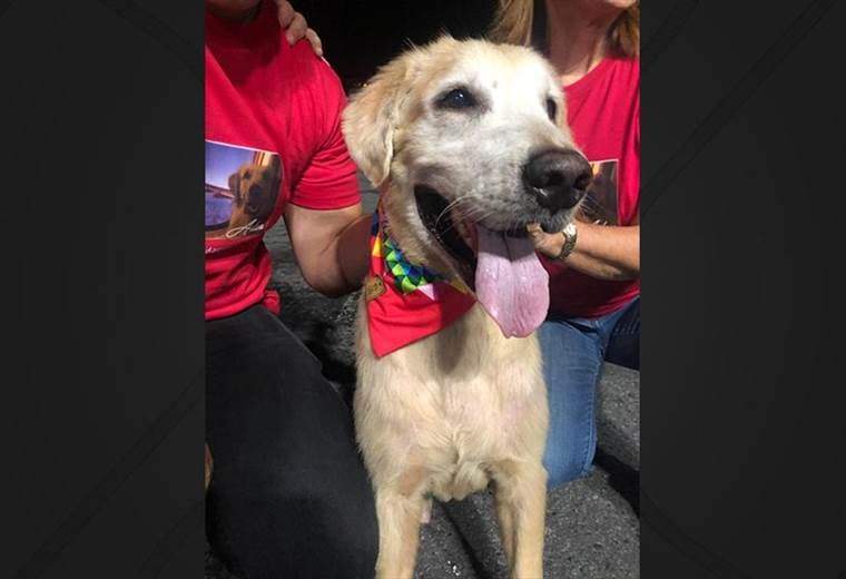 Familia venezolana se reencontró con su perro en Costa Rica tras un año de separación