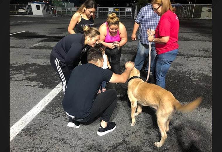 Familia venezolana se reencontró con su perro en Costa Rica tras un año de separación