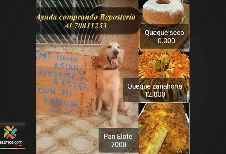 Familia venezolana vende repostería para poder traer a su perrito que quedó solo en Venezuela